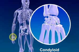 Synovial Joints